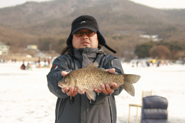 47afb04d49337&filename=2009-01-02-05