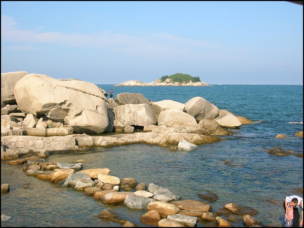 동해물회 이미지