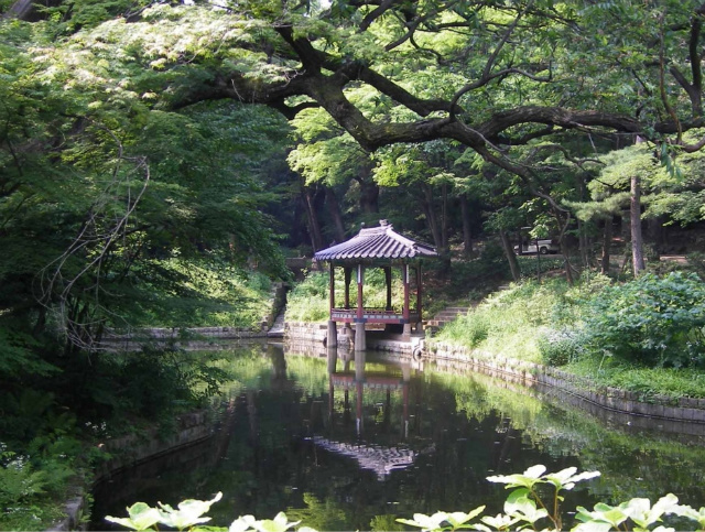 비원 이미지