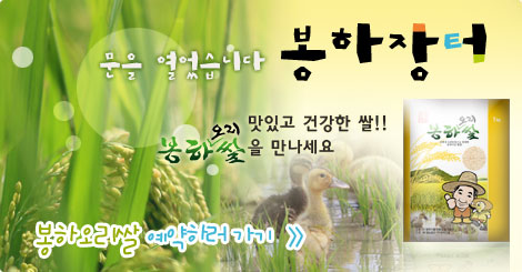 오리판매 이미지