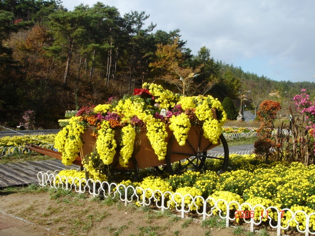 삼덕개발 이미지