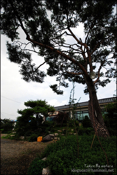 한농원 이미지