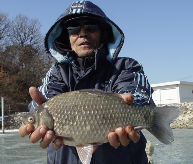 47b89b708d913&filename=2009-01-02-17