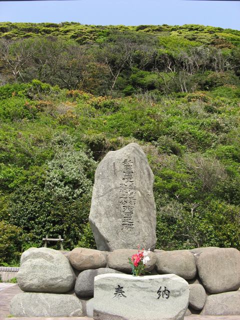 모마리 이미지