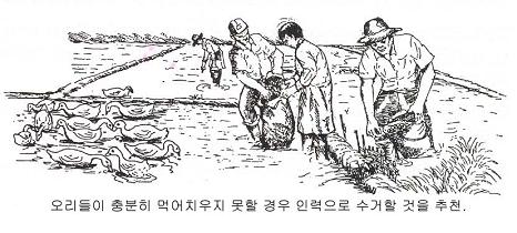 오리종합관리 이미지
