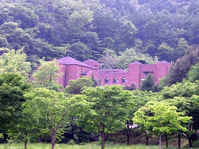겟세마니동산 이미지
