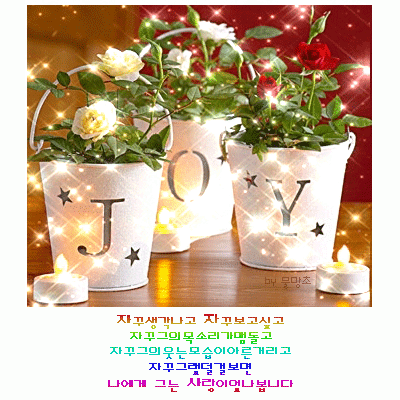 나하나사진관 이미지
