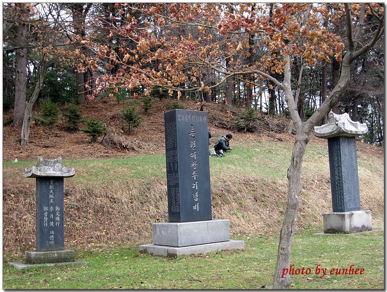 이광수 기념비에 대한 이미지 검색결과