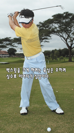아이언 이미지