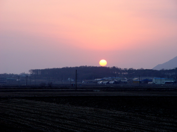 47c81fc8a30be&filename=2009-01-02-28-108