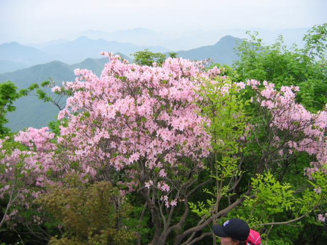 (주)한창 이미지