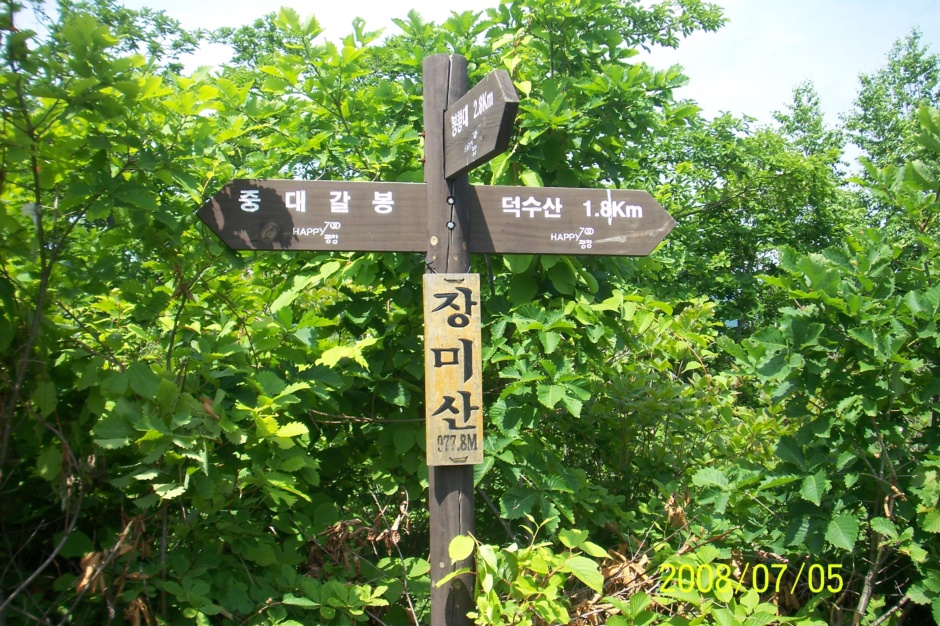 장미산주유소 이미지