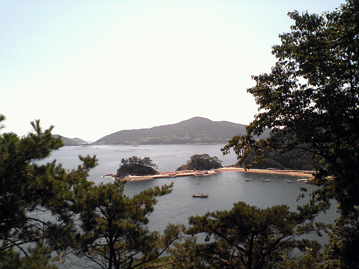 페달바이크 이미지
