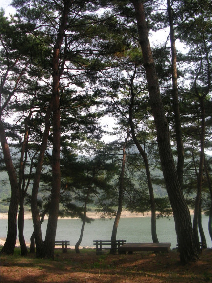 오서산자연휴양림 이미지