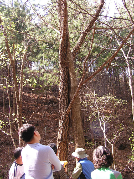 산음요 이미지