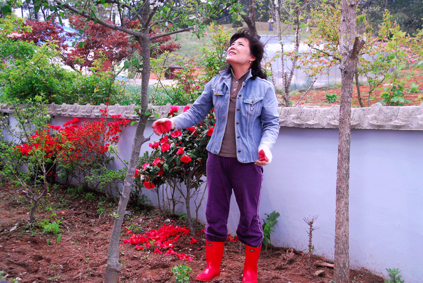 4815f4f314bb6&filename=DSC_2690whj.gif
