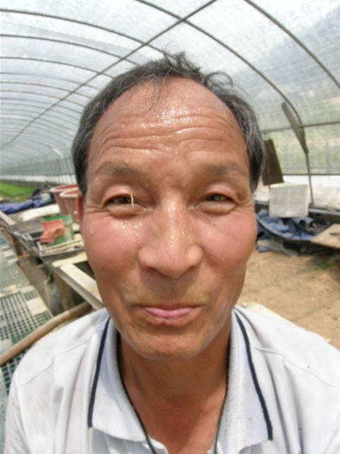 참농인 이미지