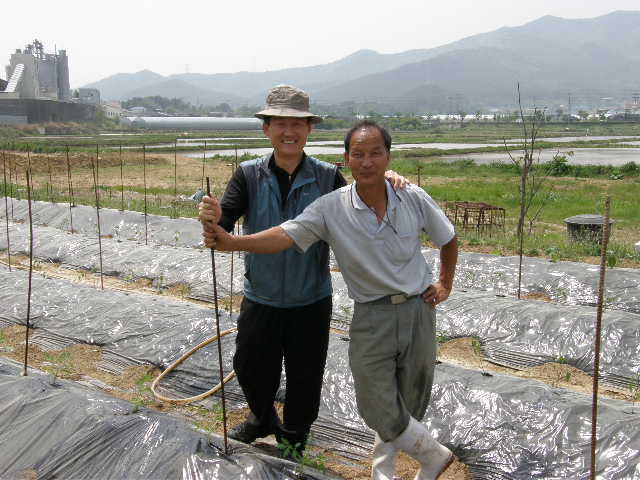 참농인 이미지