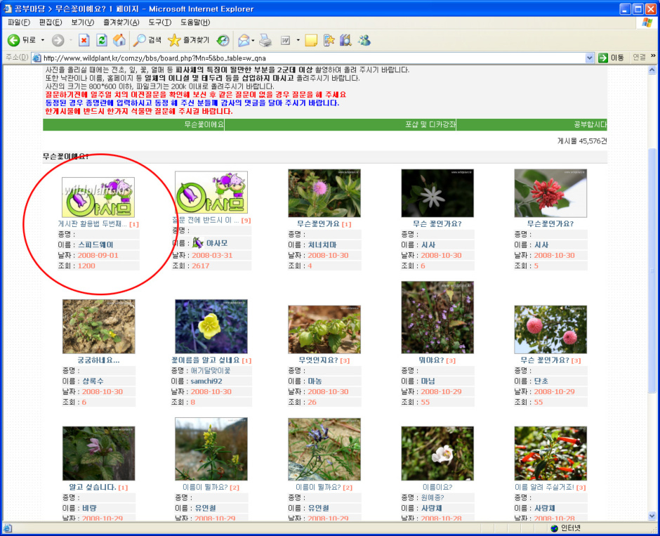4909202b74562&filename=%EA%B2%8C%EC%8B%9C%ED%8C%90%ED%99%9C%EC%9A%A9%EB%AC%B8_1.jpg
