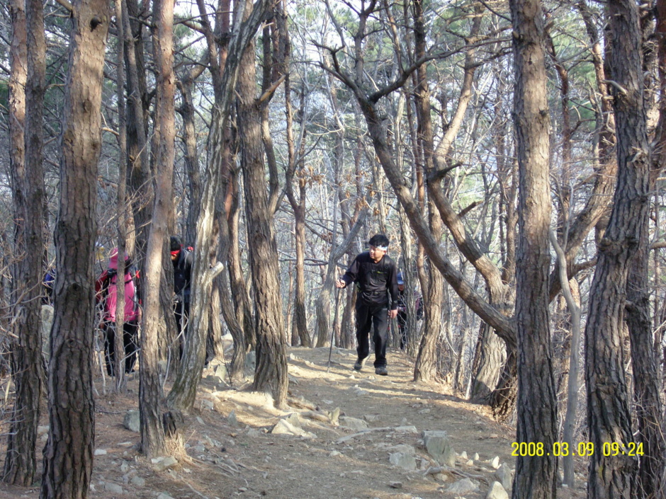 47d3e5fccd03d&filename=SNC16239.JPG