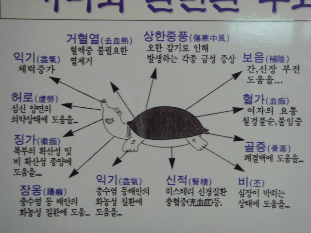산성정 이미지