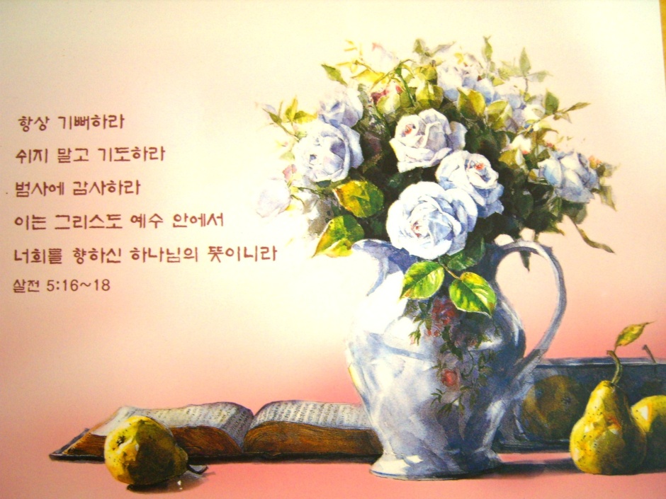 (주)마땅 이미지