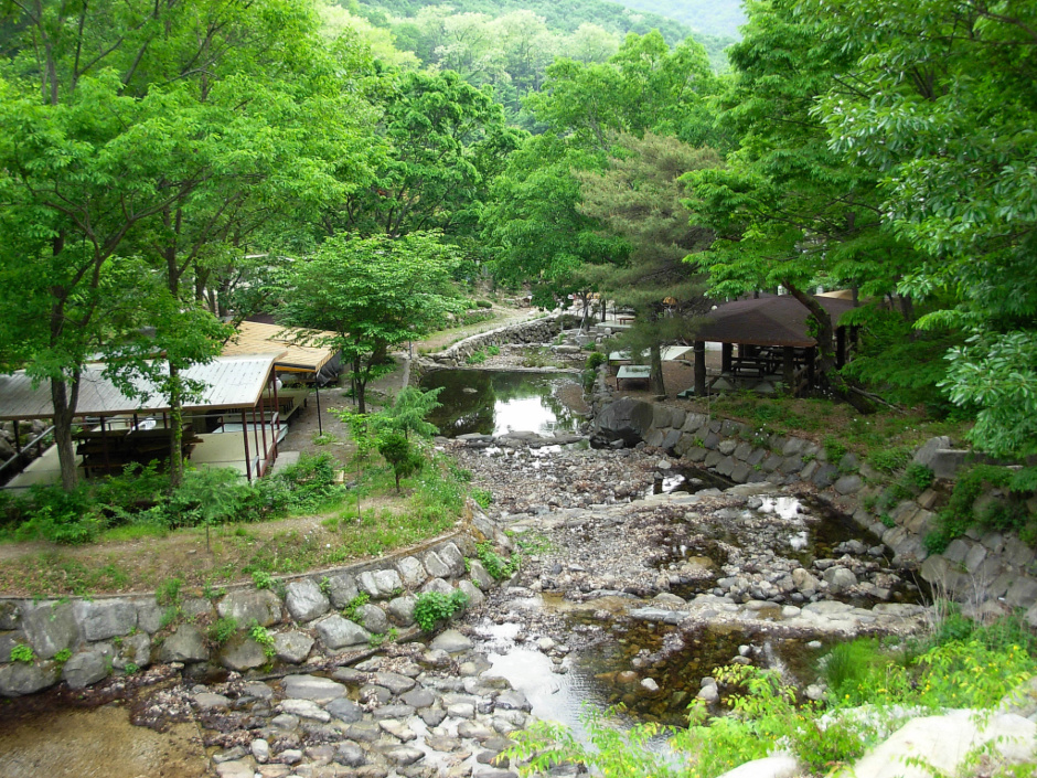 금화관광농원 이미지