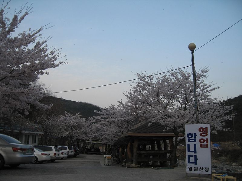 작천정 민물매운탕 이미지
