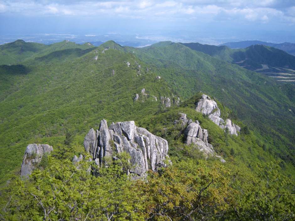 팔공산 산행(2008.05.10)