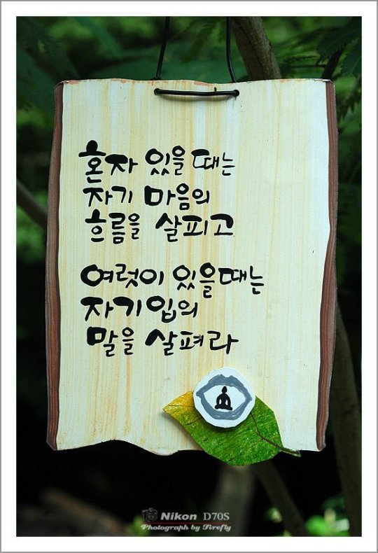 살며 생각하게 하는 좋은글