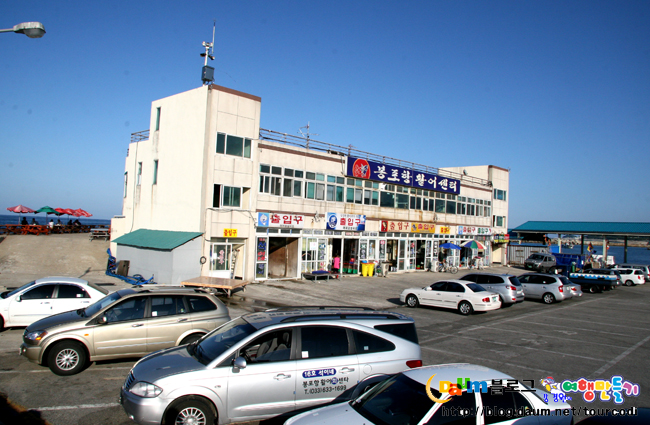 고성활어 이미지