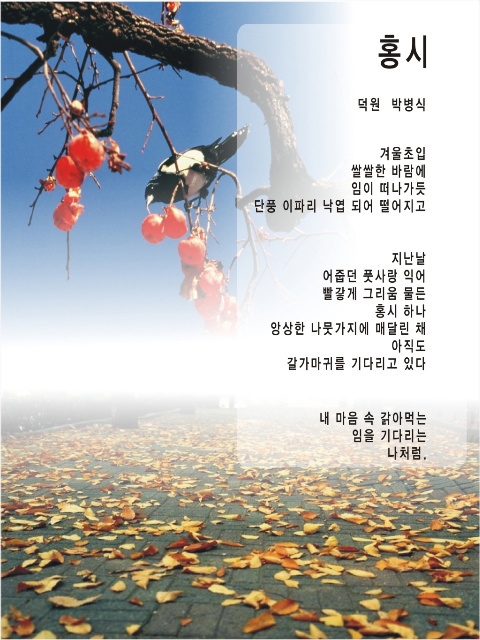 시화디자인 이미지