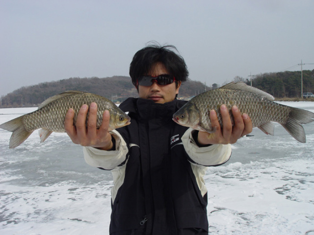 47afb21988799&filename=2009-01-02-10