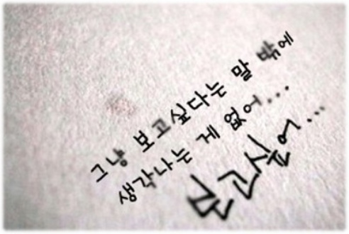 디엔아이 이미지