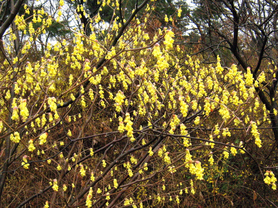 http://m.blog.daum.net/kualum/15478445 Daum 블로그