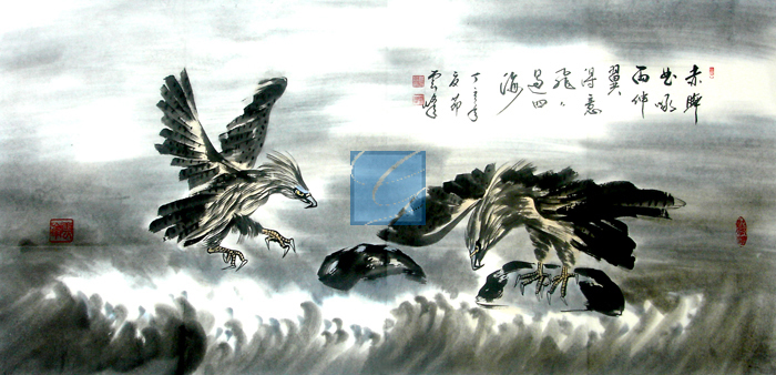 독수리 이미지