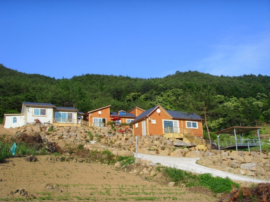 푸른숲민박 이미지