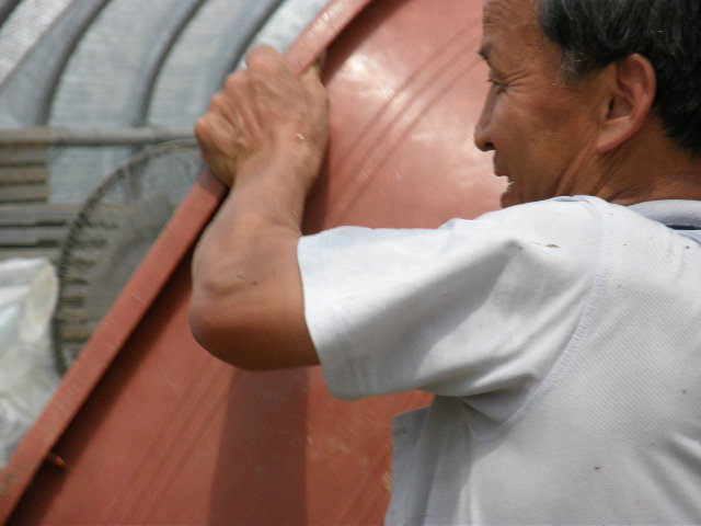 참농인 이미지