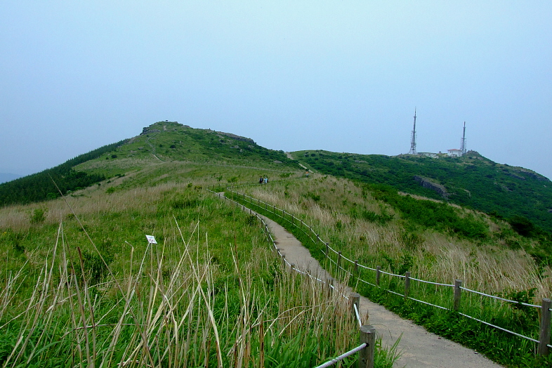 산길 이미지