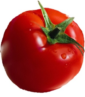토마토피부과 이미지
