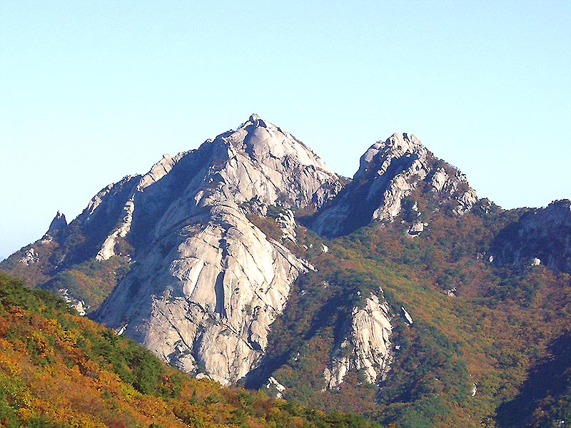 사록 이미지