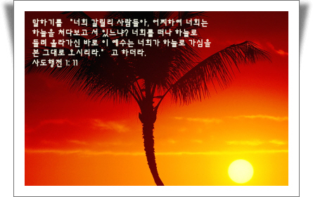 【 사진 크게 보기!(10) 】