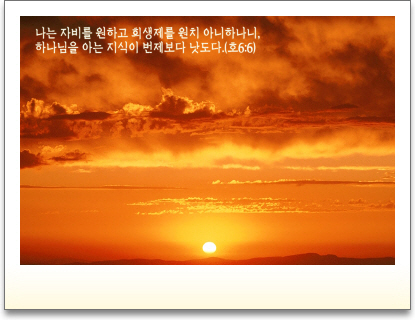 【 사진 크게 보기!(07) 】